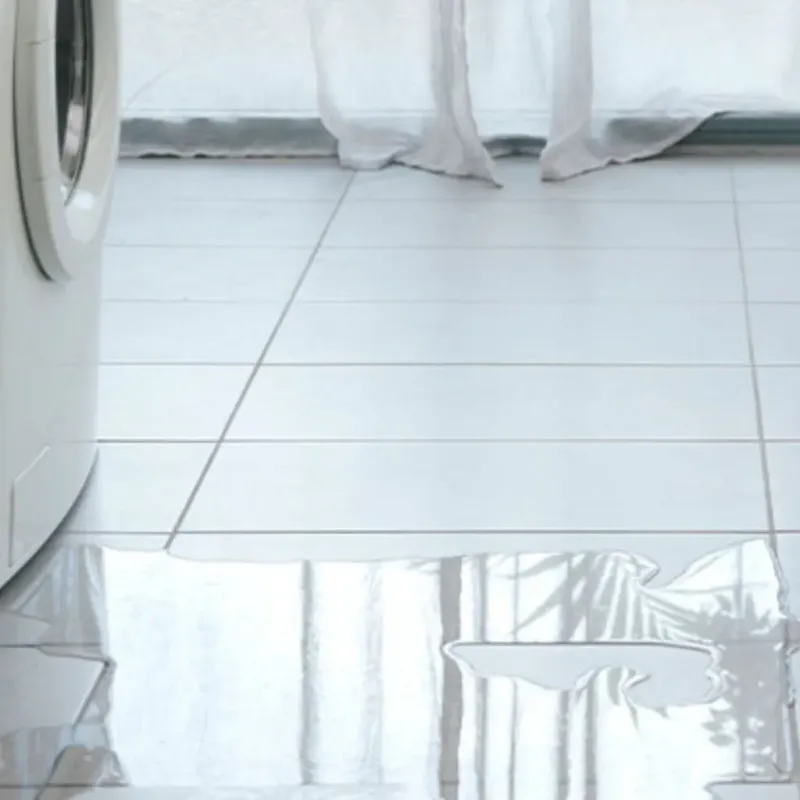 Appliance Leak Cleanup in Highland, IL