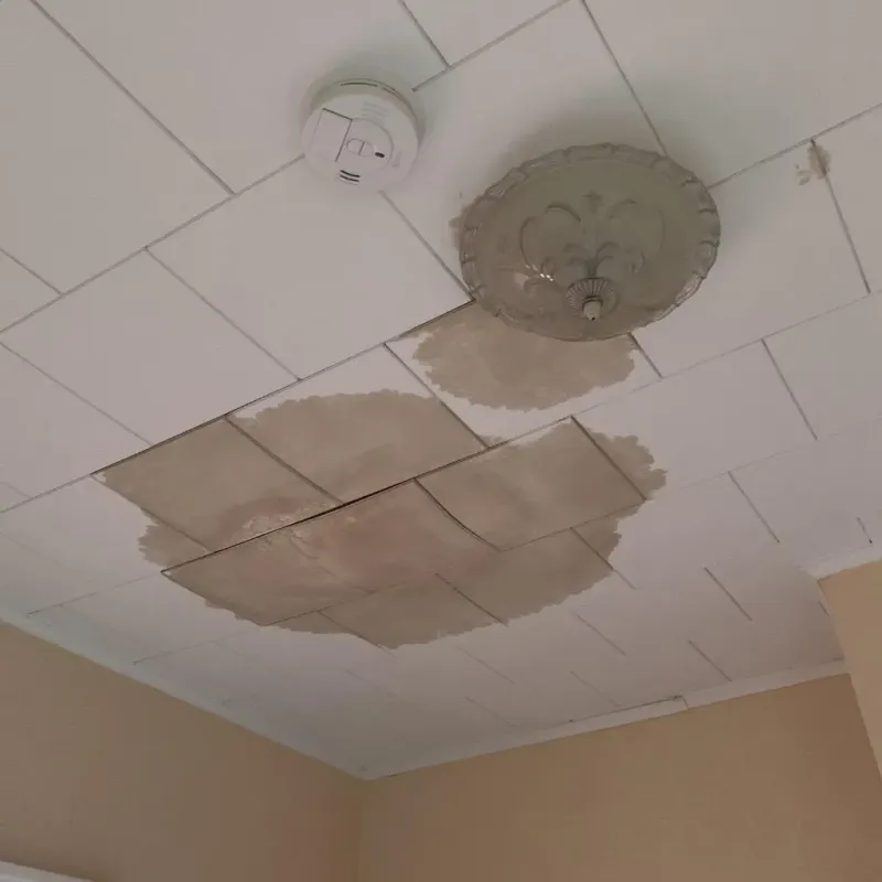 Ceiling Water Damage Repair in Highland, IL