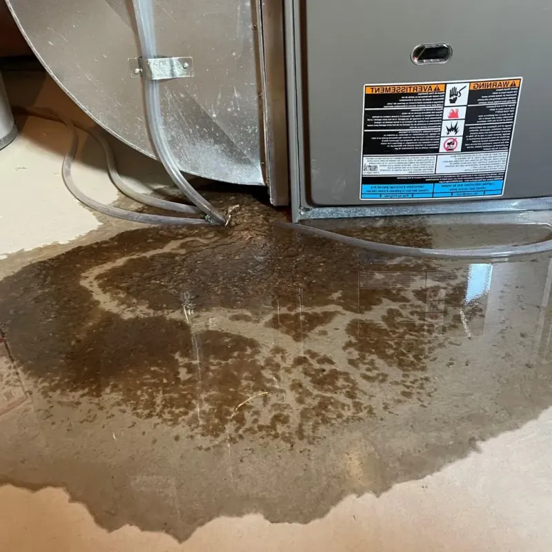 Pipe Burst and Leak Restoration in Highland, IL