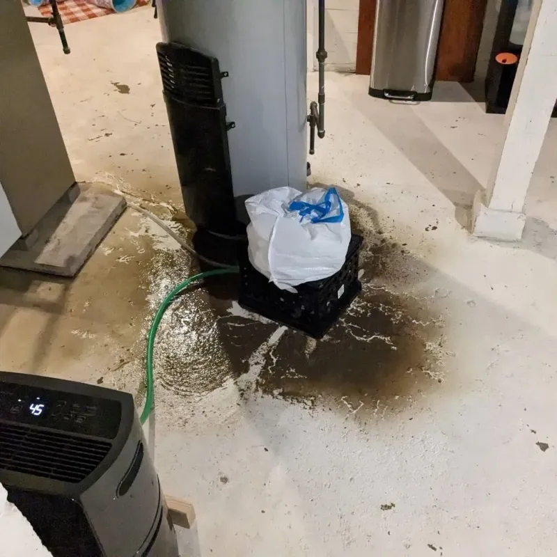 Sewage Backup Cleanup Service in Highland, IL